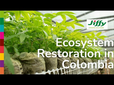 Thumbnail for Ecosystem Restoration in Colombia - English subtitle by Colombia