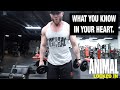 Animal Locked In, Ep4: What You Know In Your Heart