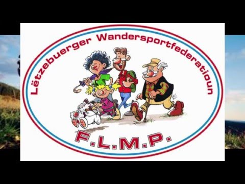 FLMP