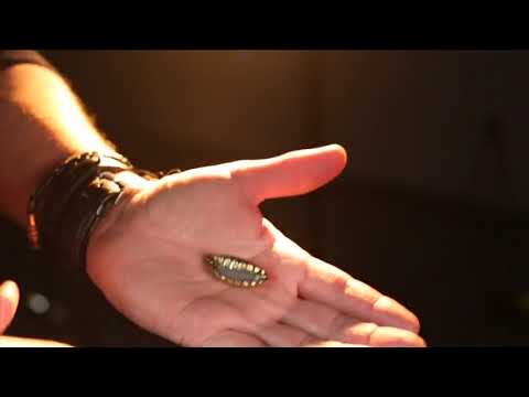 Saturn Magic -Gecko Pro System (Gimmicks and Online Instructions) by Jim Rosenbaum - Trick