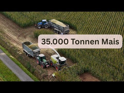 35.000 TONNEN MAIS! 🌽 Gigantische Ernte mit modernster Landtechnik - BGA Rosdorf - 2025