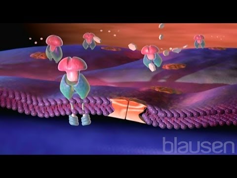 Diabetes Animation