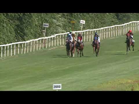 2021.08.22. 01. futam - NYERETLEN KÉTÉVESEK VERSENYE (IV.kat.)