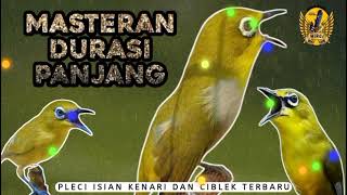 Download lagu MASTERAN PLECI ISIAN KENARI DAN CIBLEK ROLL DURASI SUPER PANJANG mp3 Download lagu MASTERAN PLECI ISIAN KENARI DAN CIBLEK ROLL DURASI SUPER PANJANG mp3