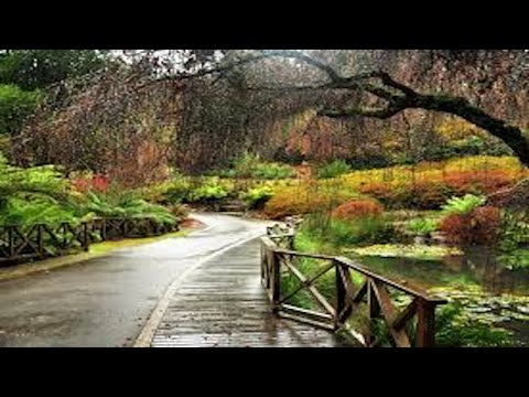 Thumbnail for 17th April Brunch with The Downunder Cruisers