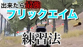 【PUBGモバイル解説】プロにも出来ない『フリックエイム』の練習方法