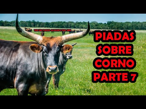 CUCKOLD JOKES PART 7 - COMEDIAN THIAGO DIAS