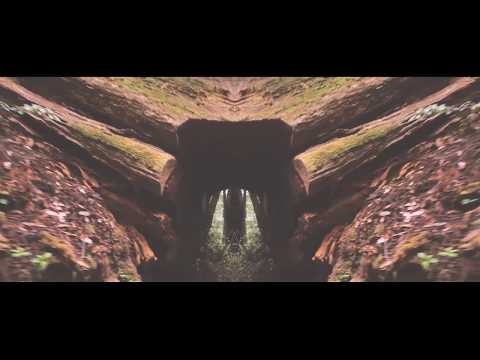 Tree60 - Forward (Official Video)