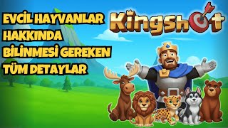 KİNGSHOT PETLERİ NASIL GELİŞTİRMELİYİM ? TÜM DETAYLAR - KİNGSHOT PET REHBERİ