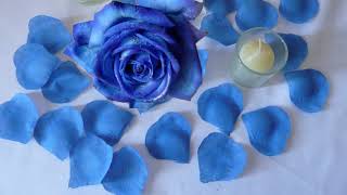 Download lagu DE ZIUA TA... mp3