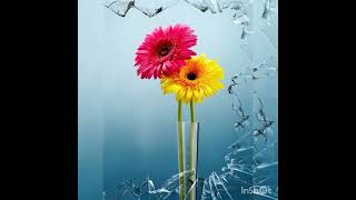 Download lagu Muttathegum thathi thathi 🤩🤩🤩 chuttum madathil 🌹🌹🌹 mp3