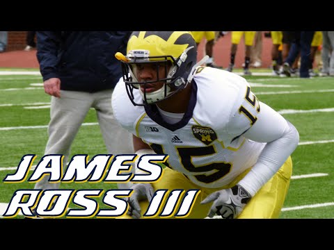 James Ross III vs Michigan State 2014