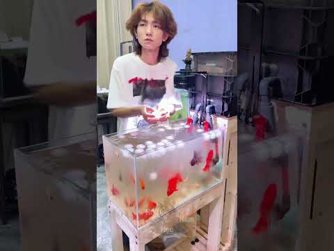 Vô Tình Làm Rơi Bông Gòn Vào Bể Cá Và Cái Kết Bất Ngờ 😳