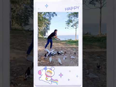 A day with the Legend Ex CGM NECL Mr Anil Kumar Bora and Dr. Mridu Rani Gogoi