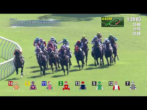 Hong Kong Race Replay | Sha Tin | November 13, 2021