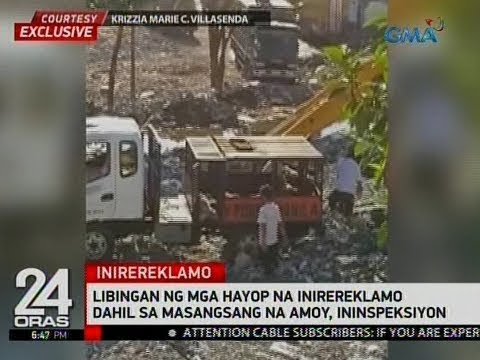 Reduxine review ng medikal na epekto ng pagtuturo Ay posible na mawalan ng timbang sa nakalipas na buwan sa prutas