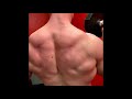 Single Arm Arnold Press