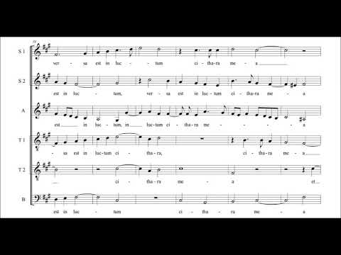 Alonso Lobo - Versa est in luctum cithara mea