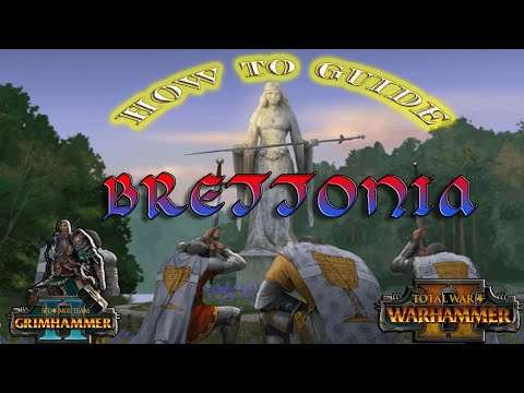 "How to Guide SFO Brettonia!" Total War Warhammer 2, SFO Grimhammer 2 Beginners tips and tricks