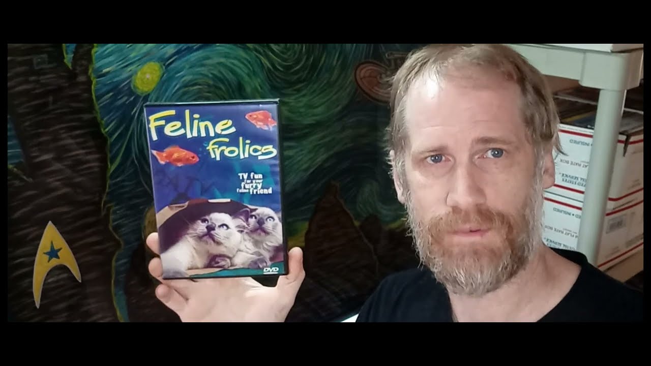 What Sold?: $600 25 eBay weekend orders. Reselling physical media: DVDs, movies, music, & books.