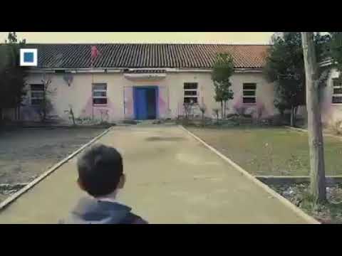 UM DOS VÍDEOS MAIS EMOCIONANTES QUE JÁ VI