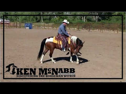 Ken McNabb Emotional Control | How to Calm the Anxious High Headed Horse Through Head Elevation