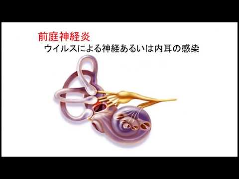 めまい・耳鳴りとの付き合い方