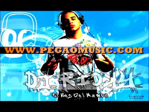 DJ RICKY QUIEREN BRILLAR CONMIGO 2012