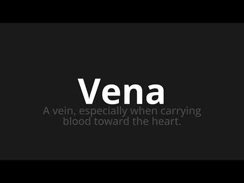 How to pronounce Vena
