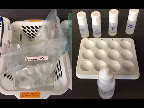 Relationships Biodiversity Labcast