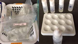 Relationships & Biodiversity Labcast
