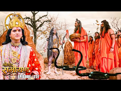 EP- 227- जहरीले साँपो से लव और कुश कैसे बचाएंगे ऋषि मुनियो के प्राण ? | Shrimad Ramayan