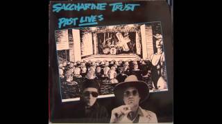Take Us Now  - Saccharine Trust
