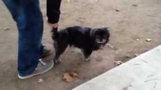 Walking' on my own!  Oct 10th