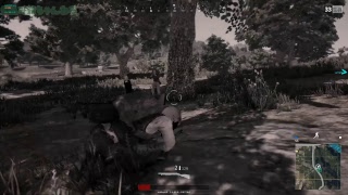 【PUBG】サメと二人でマルチ散歩