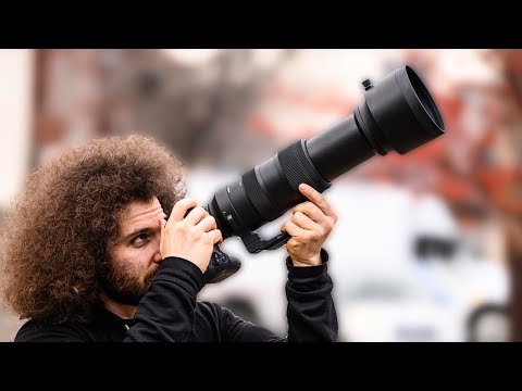 Sigma 60-600 Sport Lens REVIEW vs Sigma 150-600 | The BEST Wildlife / Sports lens for $2,000?