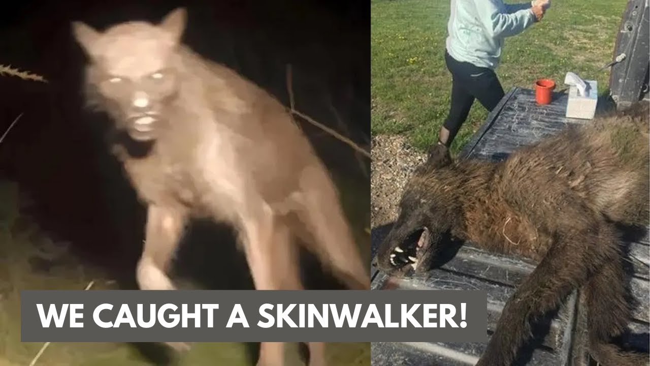 YouTube Thumbnail Downloader FULL HQ IMAGE