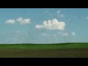 Biofuels Biofuels