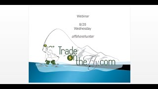 FULL webinar with Michele aka Offshorehunter - 20th Aug
