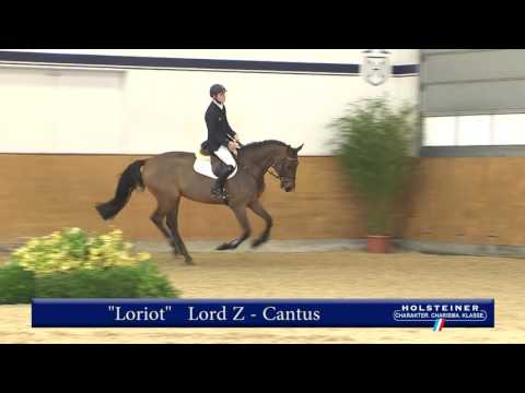 126. Loriot v. Lord Z - Cantus