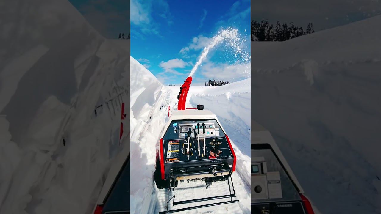 雪降った〜#snowstorm #snow #shorts #除雪 #automobile #japan #winter