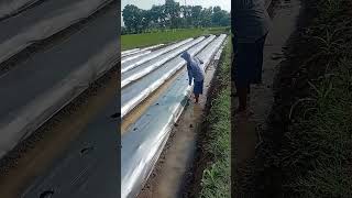 Download lagu Don't underestimate when you say astaghfirullah #advice #quotes #shortsfeed mp3 Download lagu Don't underestimate when you say astaghfirullah #advice #quotes #shortsfeed mp3