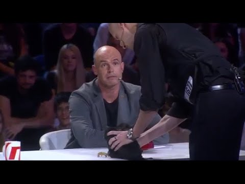 Supertalent 2017 - Emir Samardžić i kokoška