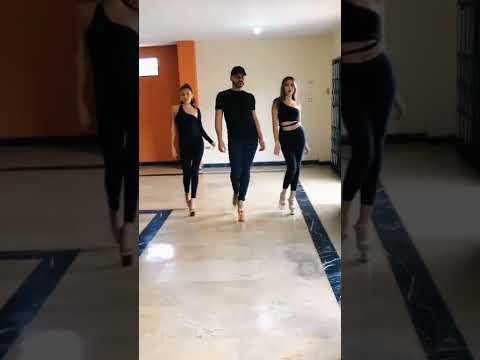 PASARELA DIXON LA ROSA 👑