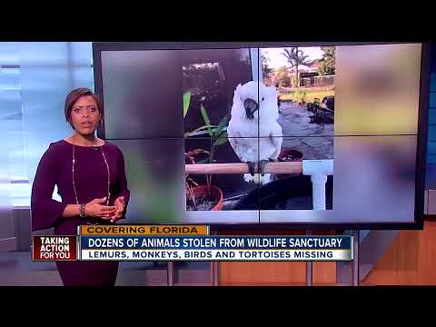 Dozens of exotic animals stolen from Florida wildlife sanctuary