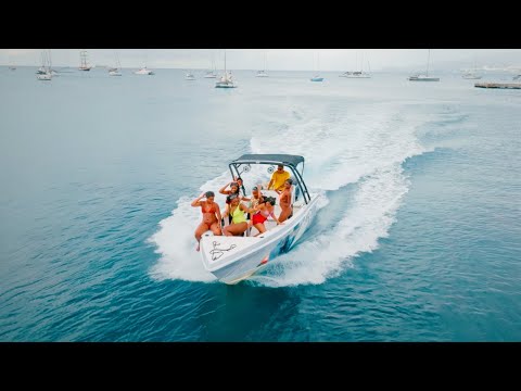 DJ FLY and Honey Bees