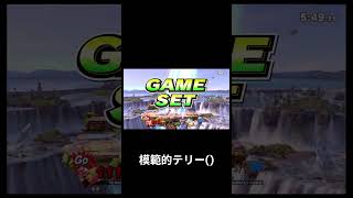 模範的テリー()　#スマブラSP　#カス