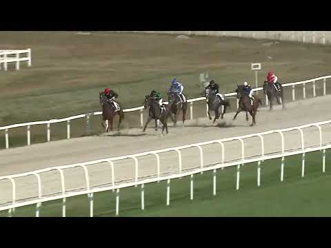 2023.09.17. 5. Futam - NYERETLENEK VERSENYE (V.kat.) (szintetikus pálya)