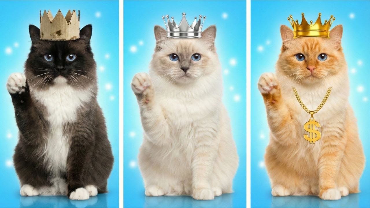 Secret Cat Surprise! Will Mom Find Out About the Poor Hidden Kitty? 🐱🎉