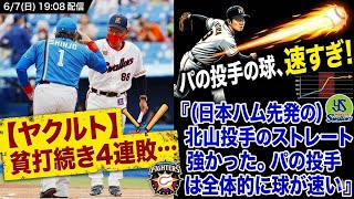 🔥止まらない貧打…ヤクルト4連敗の現実⚾💥#ヤクルトスワローズ #プロ野球 #NPB #池山隆寛 #貧打 #神宮球場 #日本ハム #野球ニュース #4連敗 #野球ハイライト